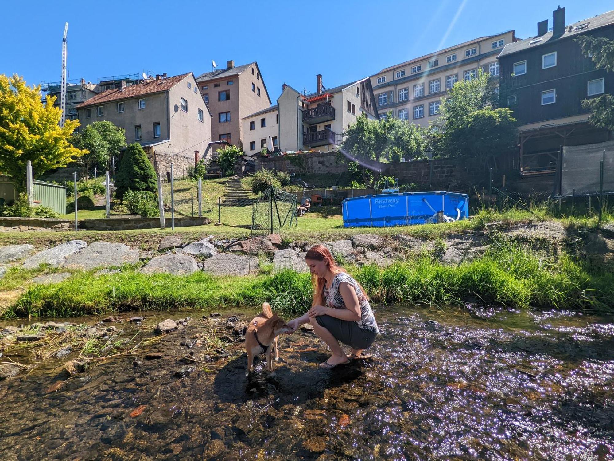 Hw1 - Urlaubsmagie - Sauna&Whirlpool Zum Entspannen Sebnitz Exterior foto